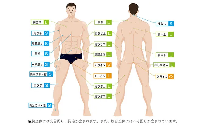 ボディ脱毛範囲